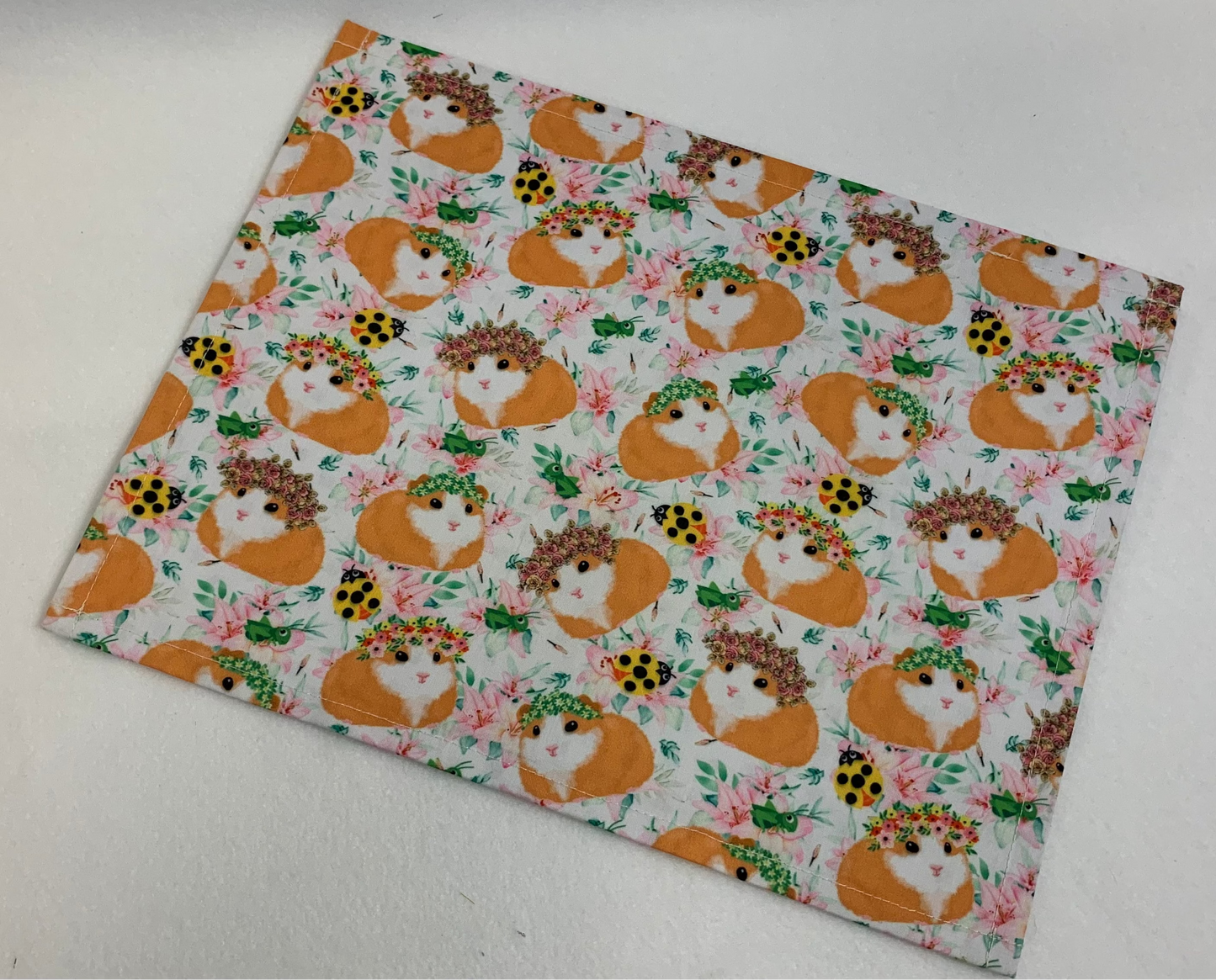 13x10 Vinyl Fronted Project Bag - Guinea Pigs