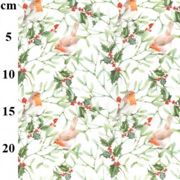 Rose & Hubble - Holly And Robins