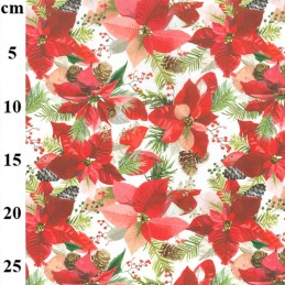 Rose & Hubble - Christmas Poinsetta