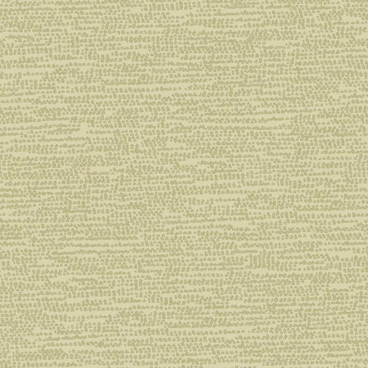 Dashwood - Breeze in Sage