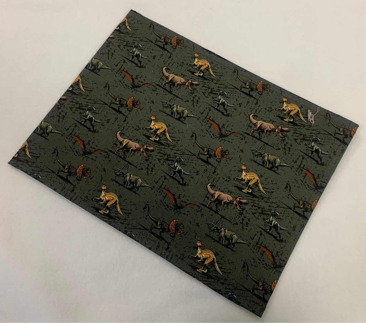13x10 Vinyl Fronted Project Bag - Dinosaurs on Green