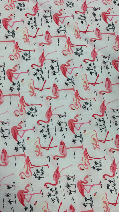 Flamingos on white