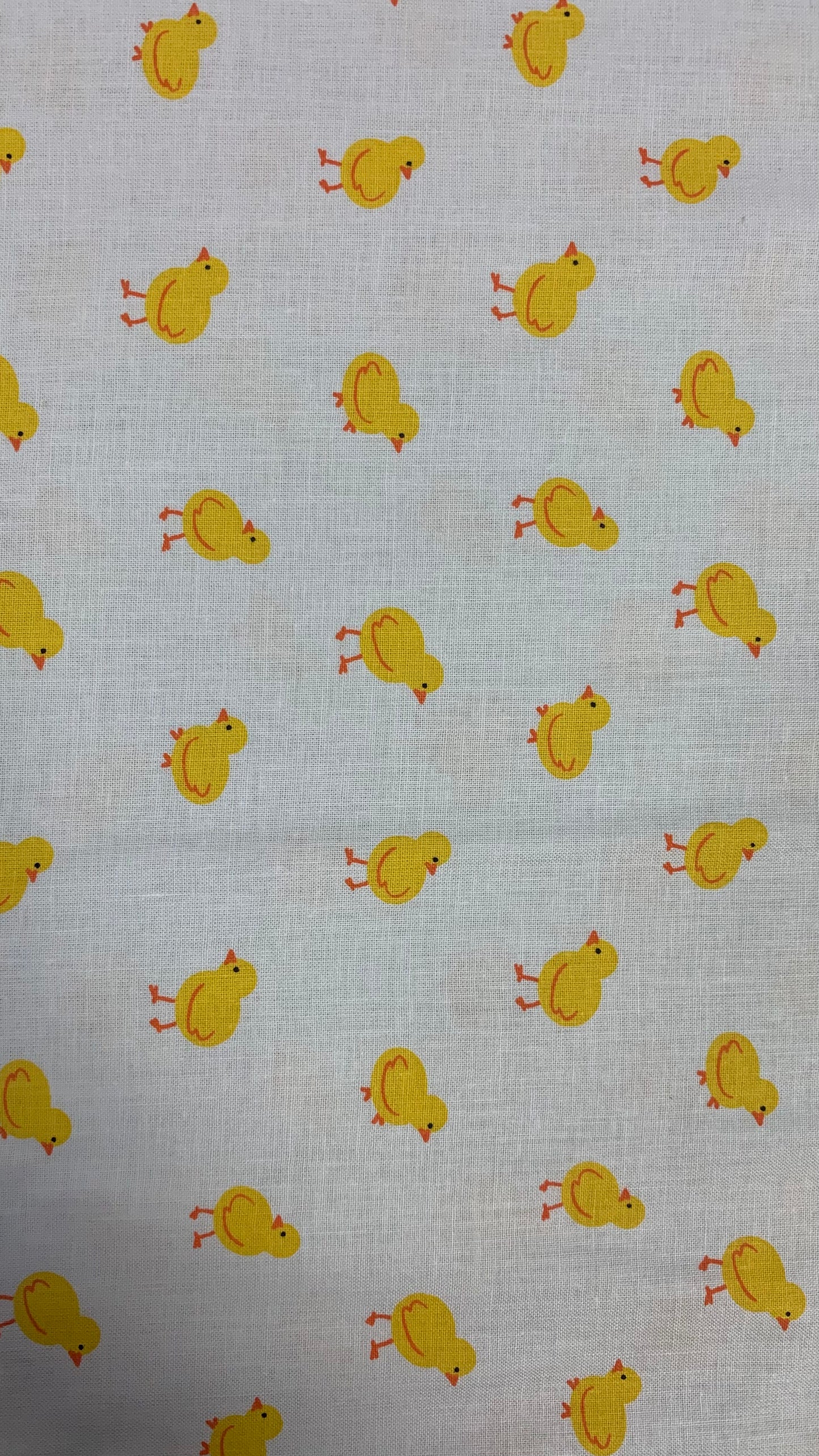 Little Chicks