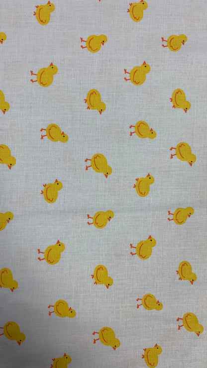 Little Chicks