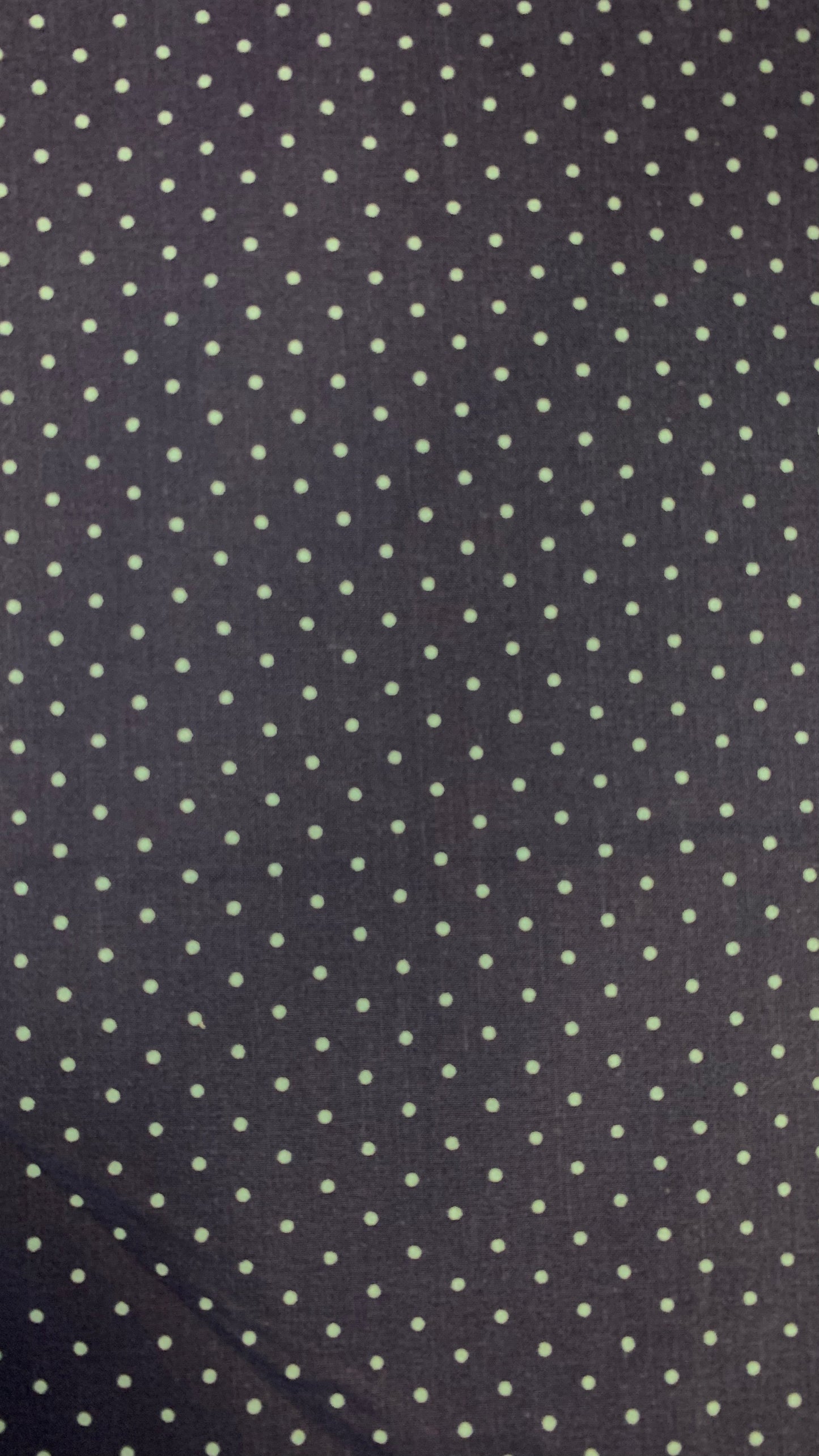 Navy Polka Dots
