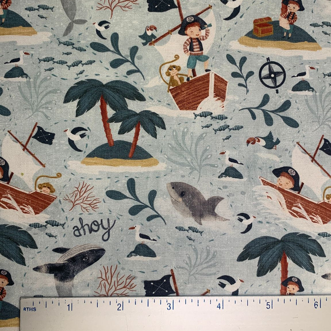 A Pirate's Adventure