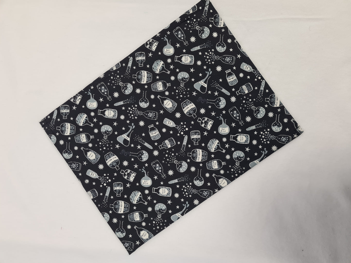 13x10 Vinyl Fronted Project Bag - Spooky Potions with checkered Trim