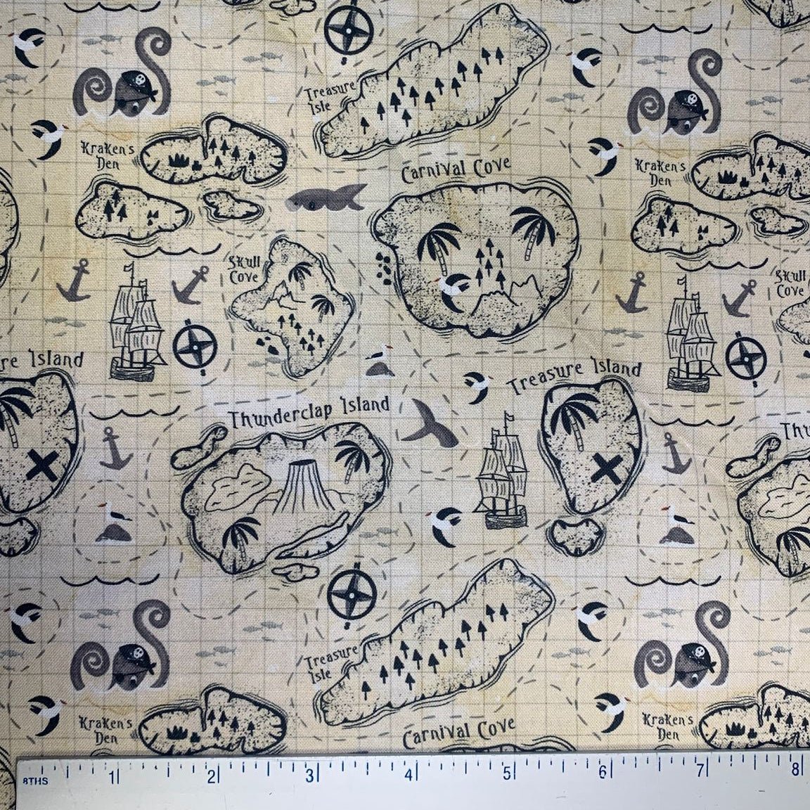 A Pirate's Adventure - Treasure Map